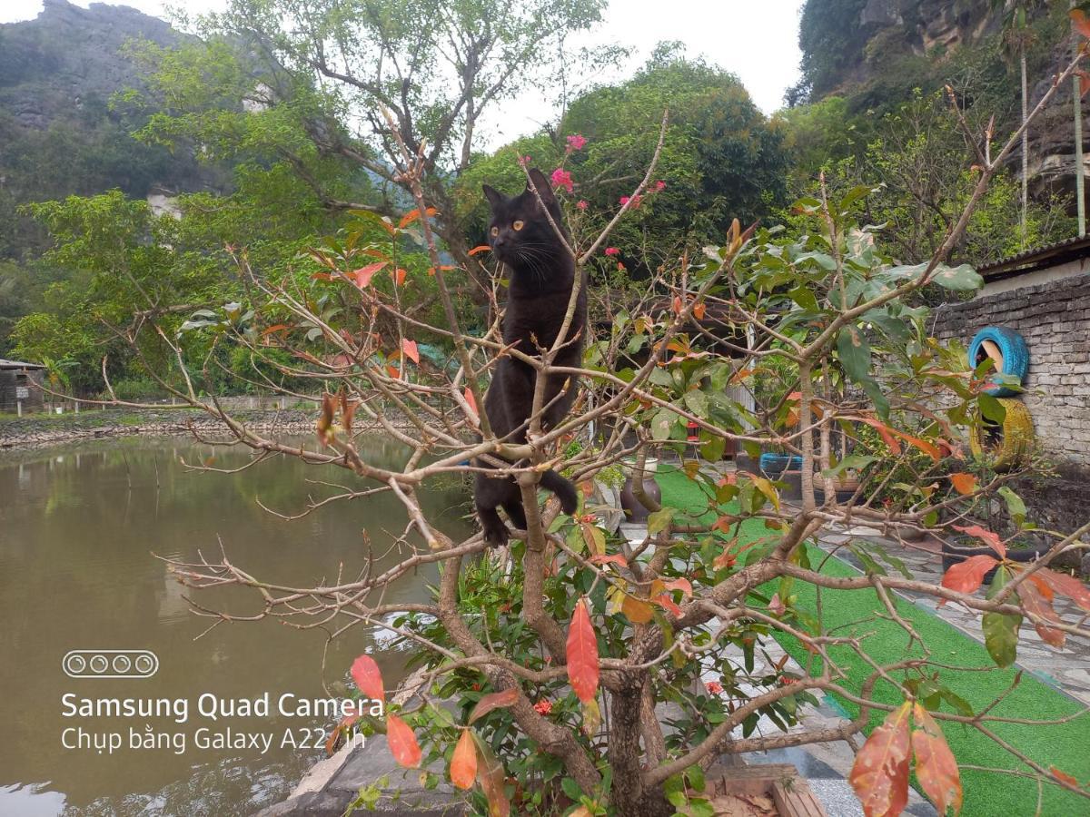Trang An Pristine View Homestay Ninh Binh Eksteriør billede